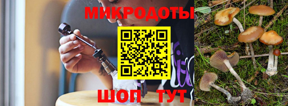Галлюциногенные грибы Psilocybine cubensis Новокузнецк