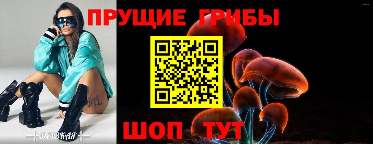 Галлюциногенные грибы Psilocybe  Псилоцибиновые грибы мицелий  Новокузнецк  Вход с VPN 